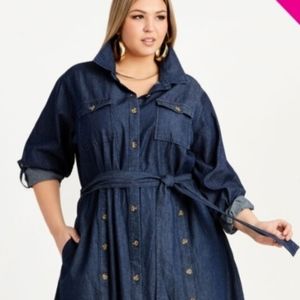 Ashley Stewart Long denim dress